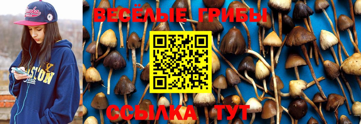 Галлюциногенные грибы прущие грибы Южно-Сахалинск